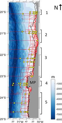 Disentangling species-specific krill responses to local oceanography and predator’s biomass: The case of the Humboldt krill and the Peruvian anchovy